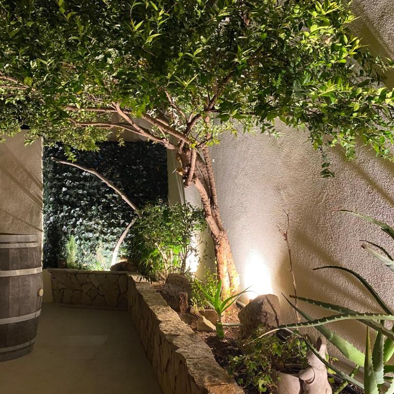 Casa Dolce Franca - Two-Bedroom Apartment - 47