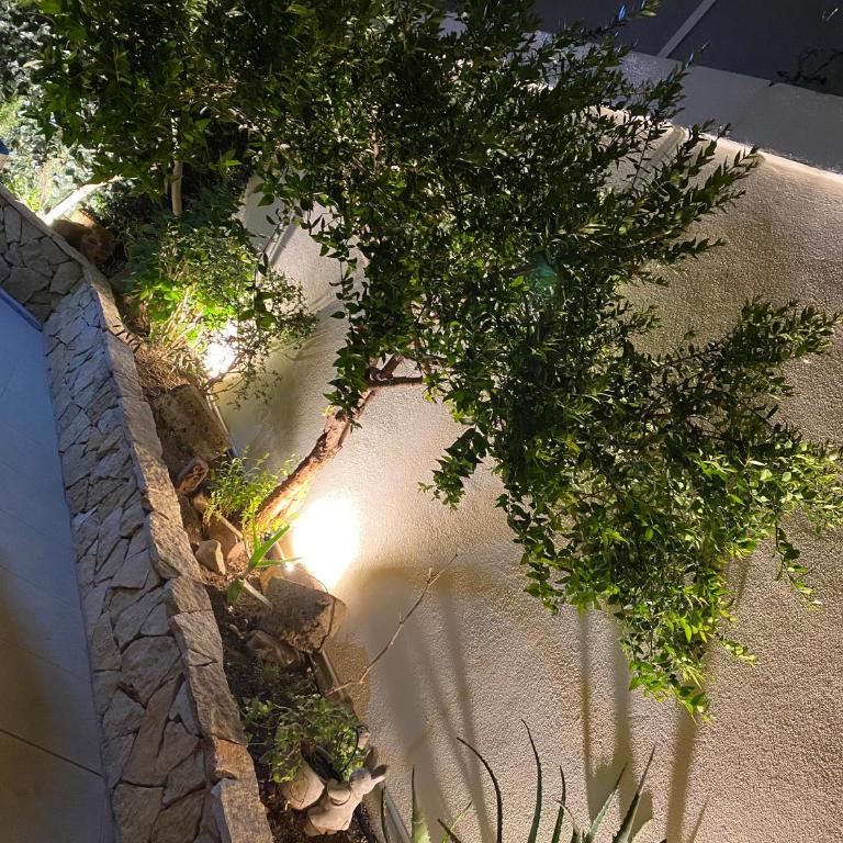 Casa Dolce Franca - Two-Bedroom Apartment - 50