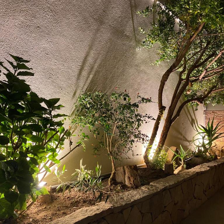 Casa Dolce Franca - Two-Bedroom Apartment - 51