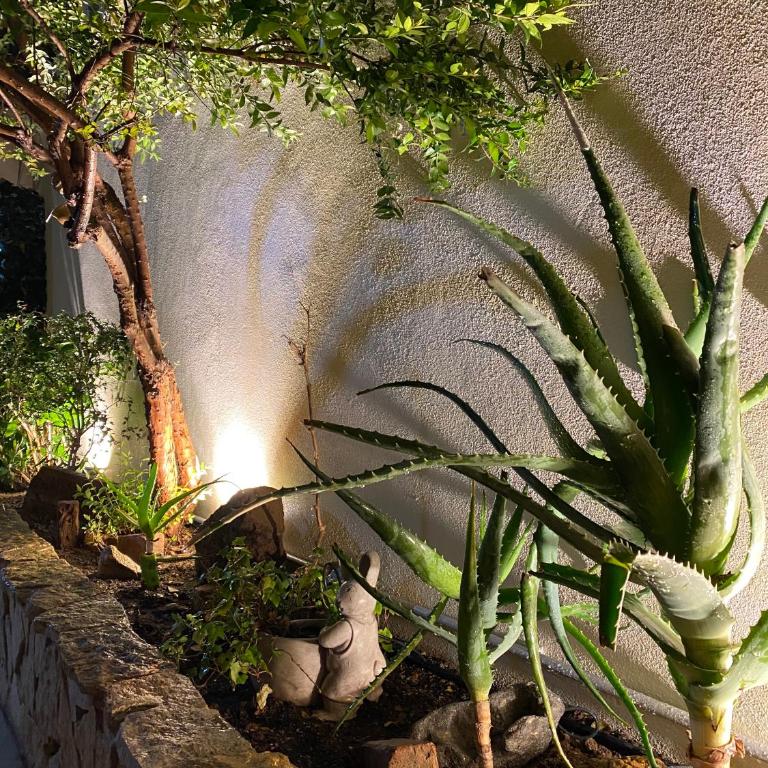 Casa Dolce Franca - Two-Bedroom Apartment - 52