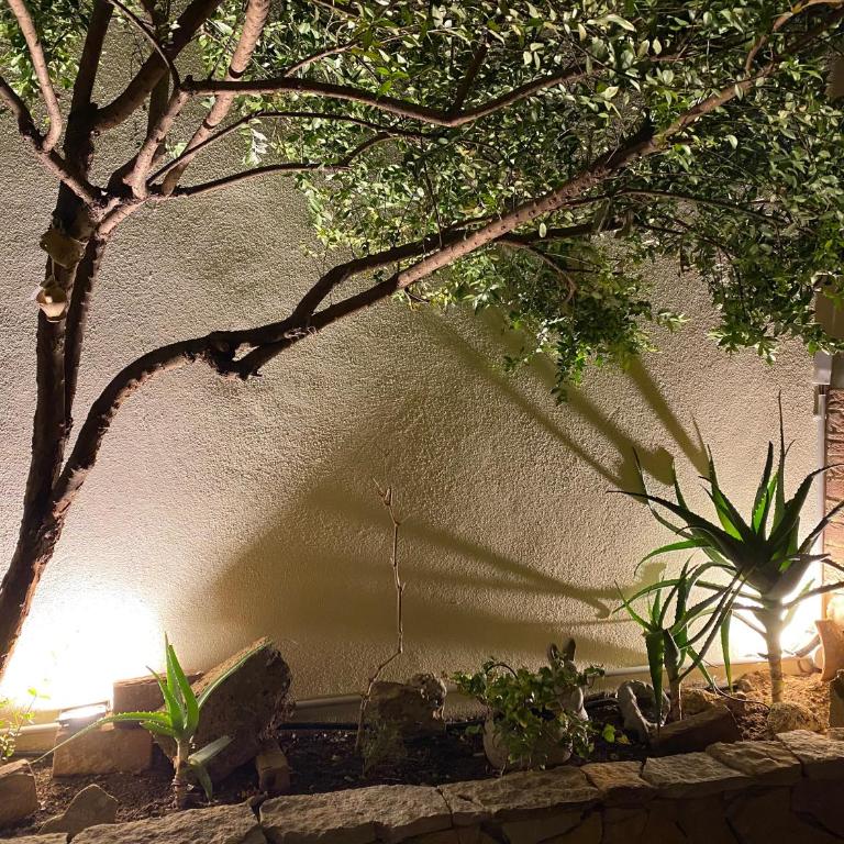Casa Dolce Franca - Two-Bedroom Apartment - 53