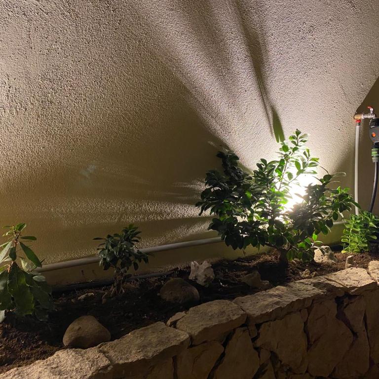 Casa Dolce Franca - Two-Bedroom Apartment - 54