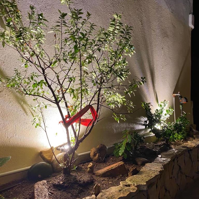 Casa Dolce Franca - Two-Bedroom Apartment - 55