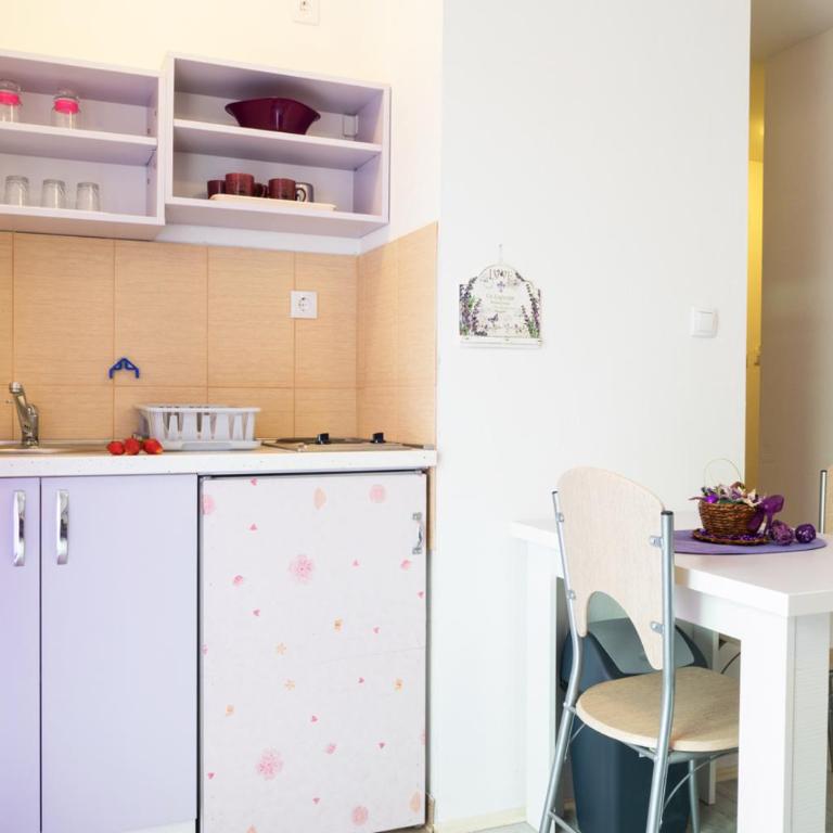 Apartmani Maja Sokobanja - Apartman sa Balkonom - 6