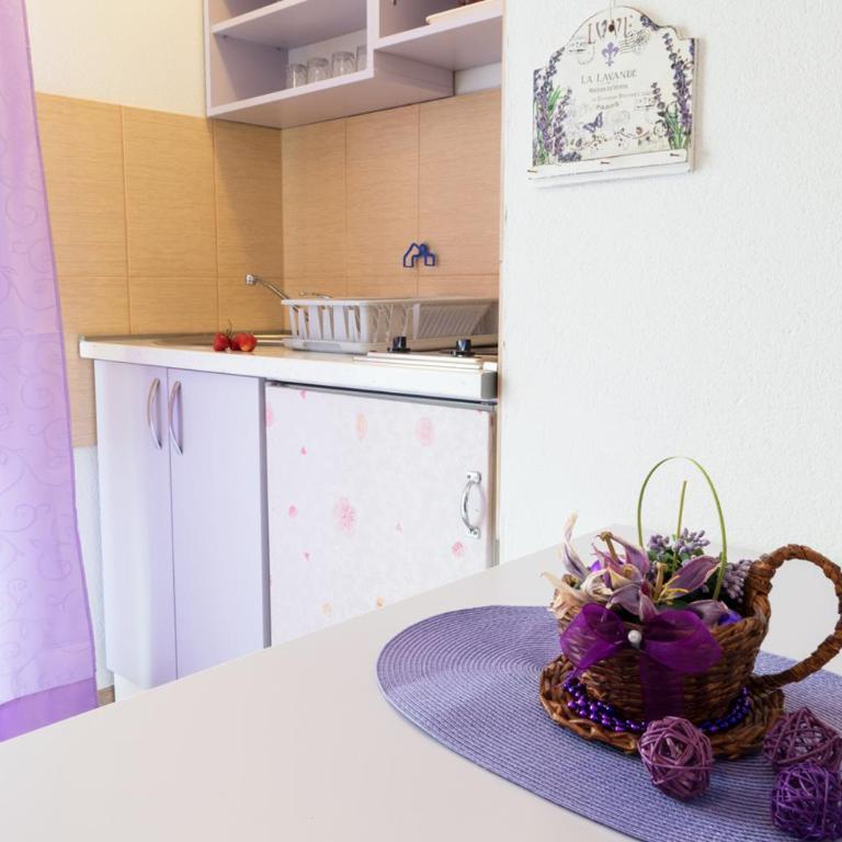 Apartmani Maja Sokobanja - Apartman sa Balkonom - 4