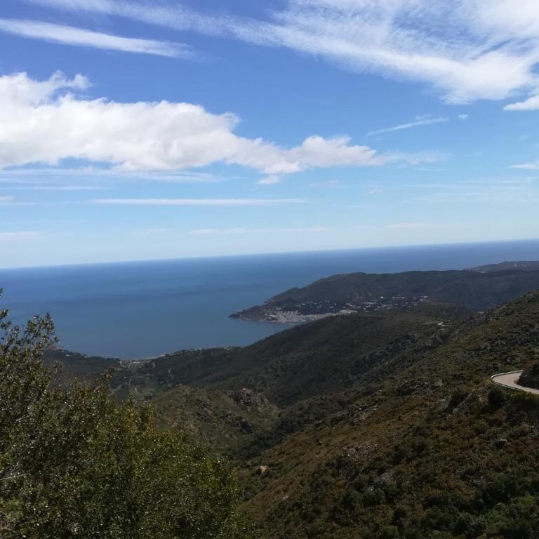 CAP d OSNE - Appart 40 m2 Climatisé 2mn plage et ville - Apartamento - Planta baja - 20