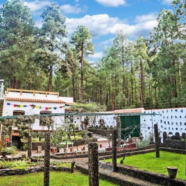 La Casa Encantada del Bosque - Casa - 1