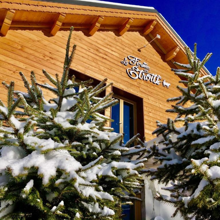 La Ferme des Étroits - Chambre Double - Vue sur Montagne - 17