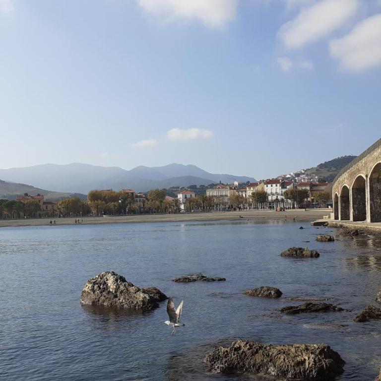 CAP d OSNE - Appart 40 m2 Climatisé 2mn plage et ville - Apartamento - Planta baja - 21