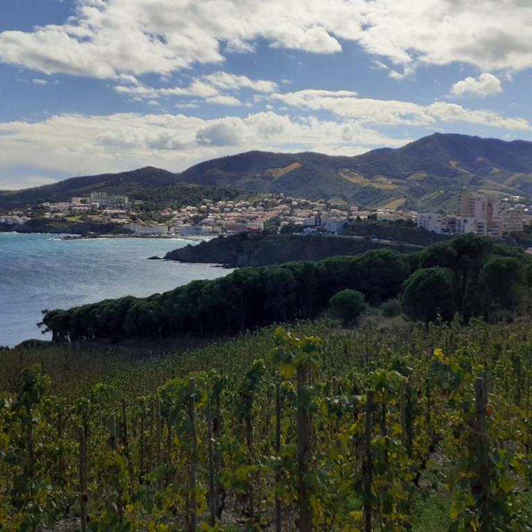 CAP d OSNE - Appart 40 m2 Climatisé 2mn plage et ville - Apartamento - Planta baja - 25
