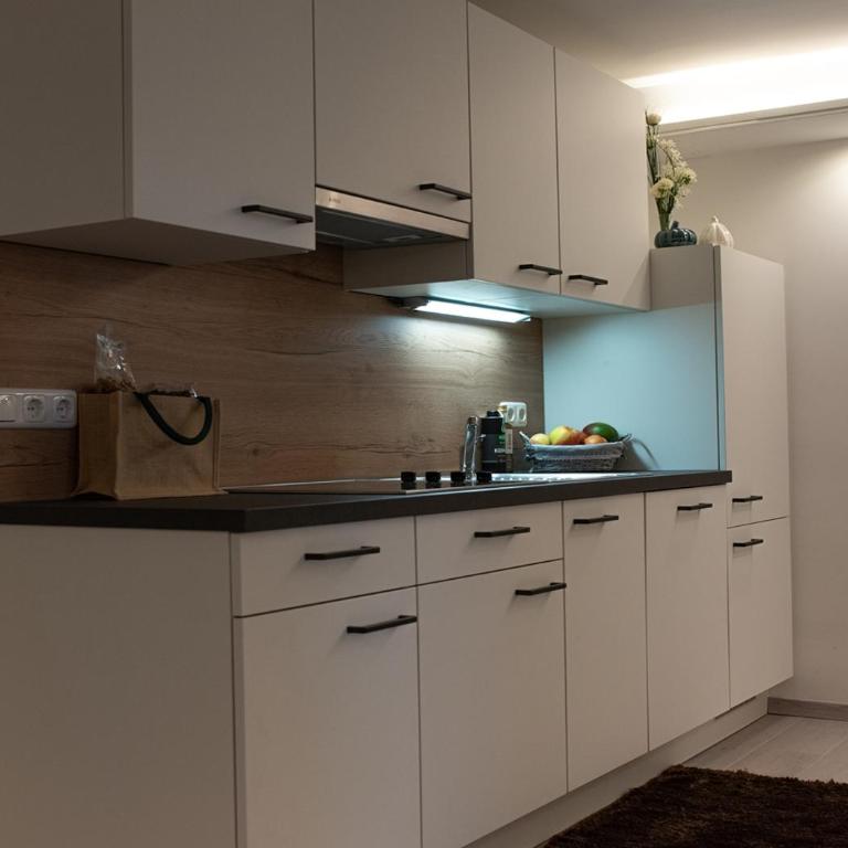 CLAUS RESCH APPARTEMENTS - E-Bike, Wandern, Minigolf, Familie, Urlaub an der Weinstraße - Appartement - Rez-de-Chaussée - 4
