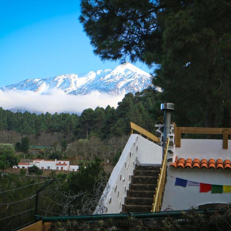 La Casa Encantada del Bosque - Casa - 10