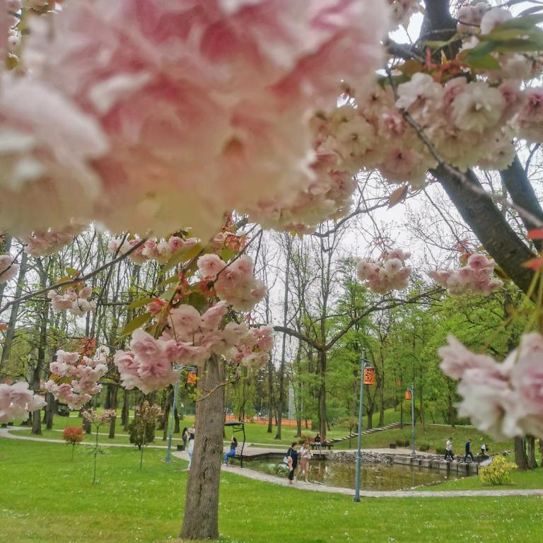 Apartman Japanski vrt, Centar - Apartman sa 2 Spavaće Sobe - 44