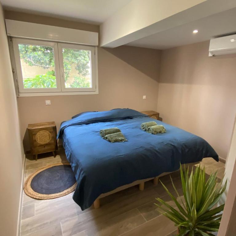 Villa Del Mar Bord de mer Palm Beach Cannes - Appartement Supérieur 2 Chambres - 40