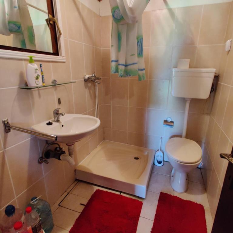 JOVIN SPLAV - Apartman - 13