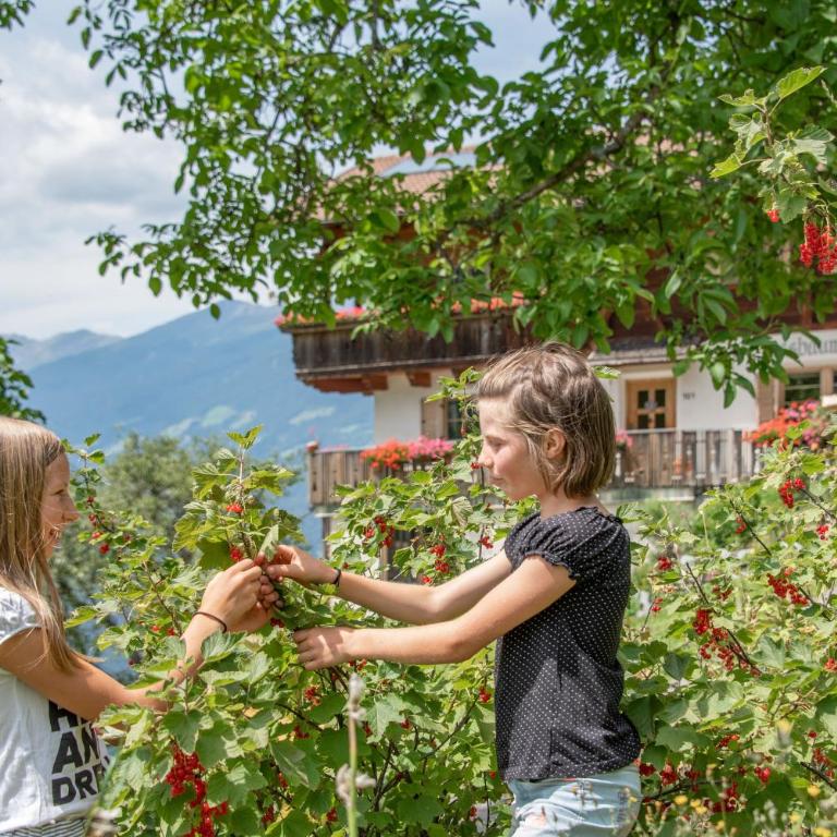 Nussbaumerhof - Apartamento de 2 dormitorios - 23