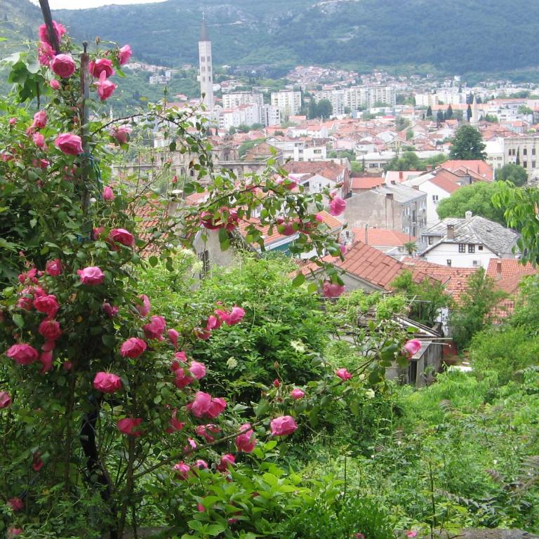 Guesthouse Panorama - Suite with City View - 1