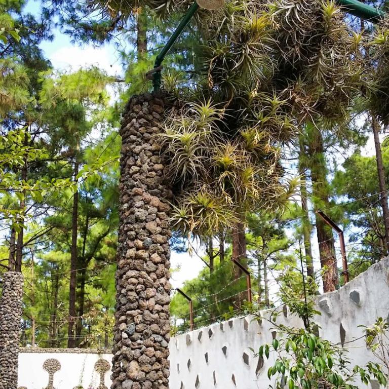 La Casa Encantada del Bosque - Casa - 14