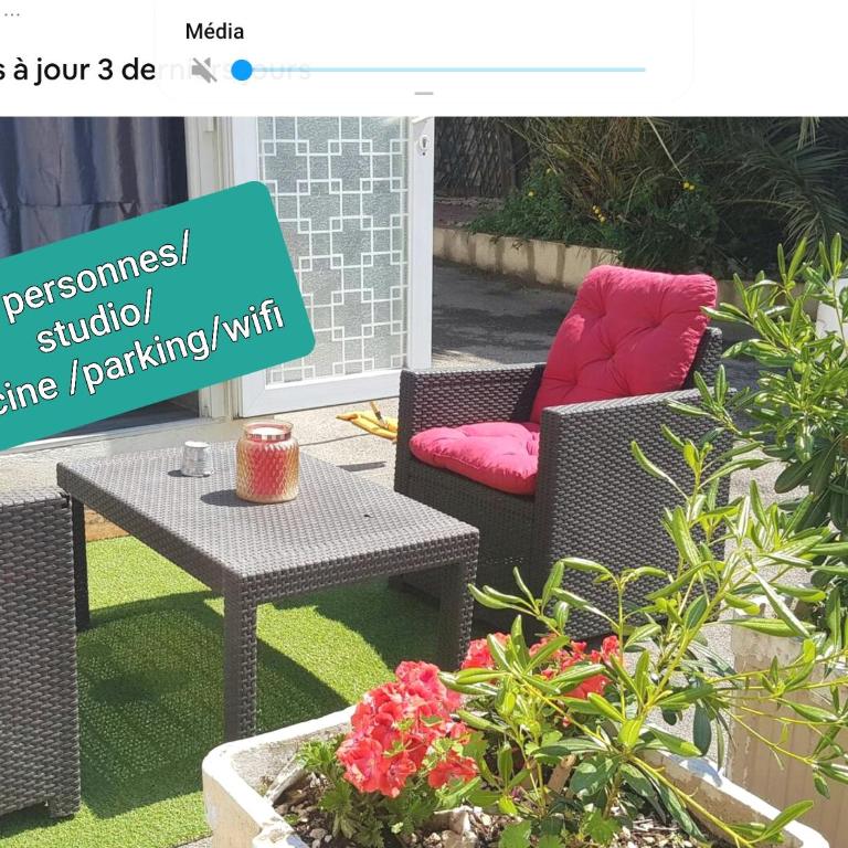 Gîte du stade Le Studio cour parking et piscine partagee - Studio - 9