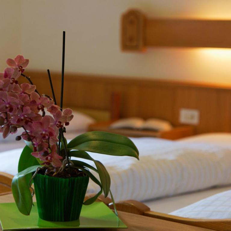 Hotel Genziana - Camera Matrimoniale/Doppia con Letti Singoli - 2