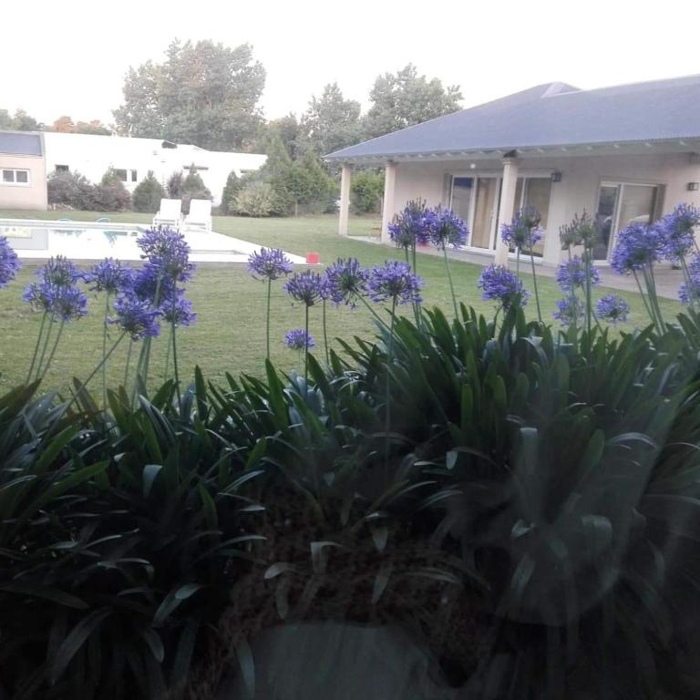 Villa Clarita Tandil - Villa - 9