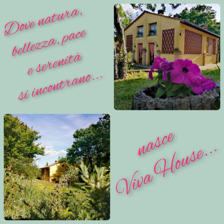 Viva House - Haus mit 3 Schlafzimmern - 42