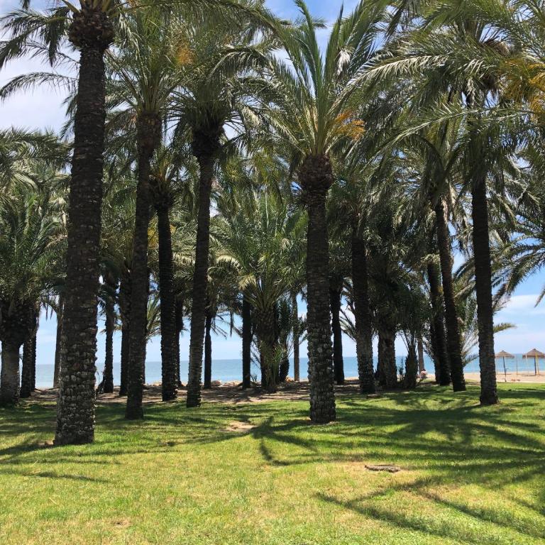 CARIHUELA BEACH apartment, 2nd line - Apartamento de 1 dormitorio - 12