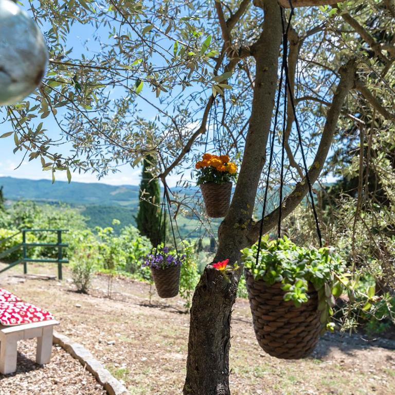 Casa il Cipresso, in the heart of Chianti with swimming pool - Casa Vacanze - 10