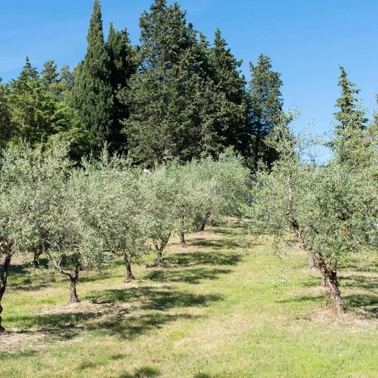Casa il Cipresso, in the heart of Chianti with swimming pool - Casa Vacanze - 12