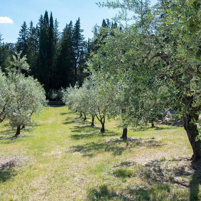Casa il Cipresso, in the heart of Chianti with swimming pool - Casa Vacanze - 15