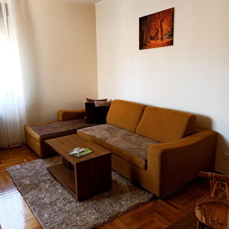 Aleksandar apartman Zlatibor - One-Bedroom Apartment - 7