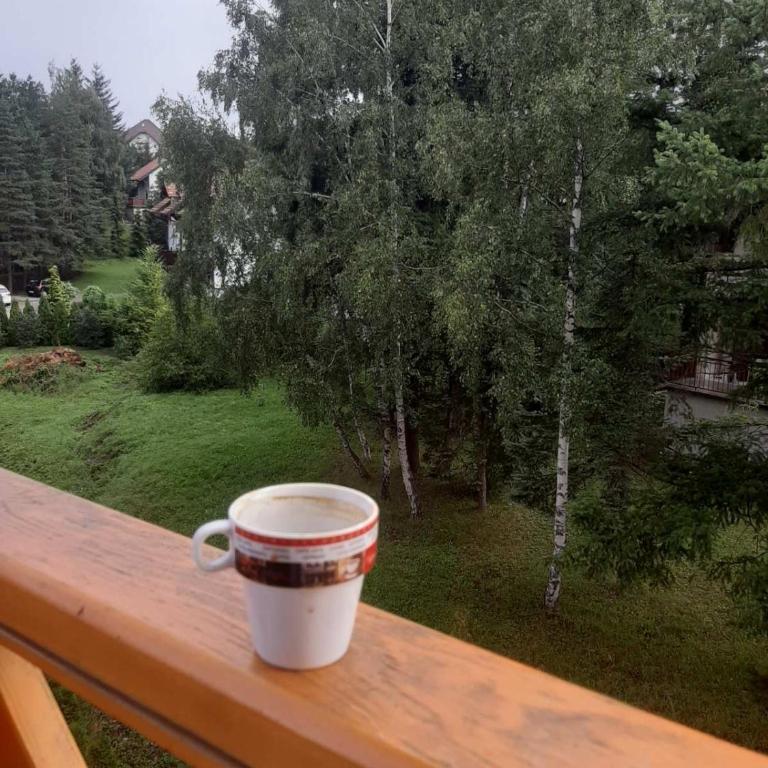 Aleksandar apartman Zlatibor - One-Bedroom Apartment - 8