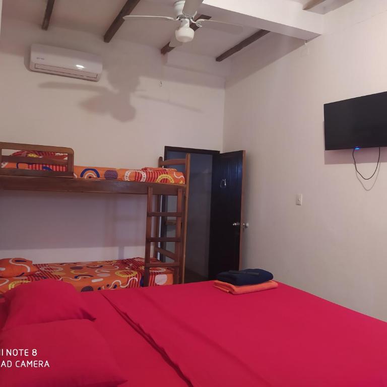 Canoamar - Habitación Cuádruple Deluxe - 2