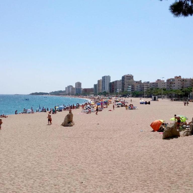 LLOGUER30 Los delfines, swimming pools , near the beach and with parking - Apartamento de 3 dormitorios - 59