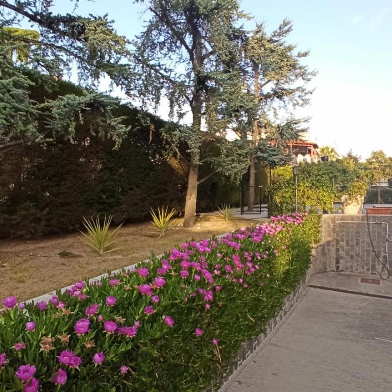 Villa Mary - Apartment - Appartamento Monolocale - 18