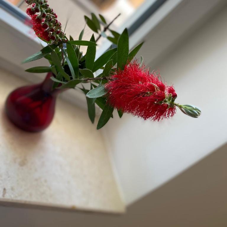 NaPjacu with own parking and garden - One-Bedroom Apartment - 12