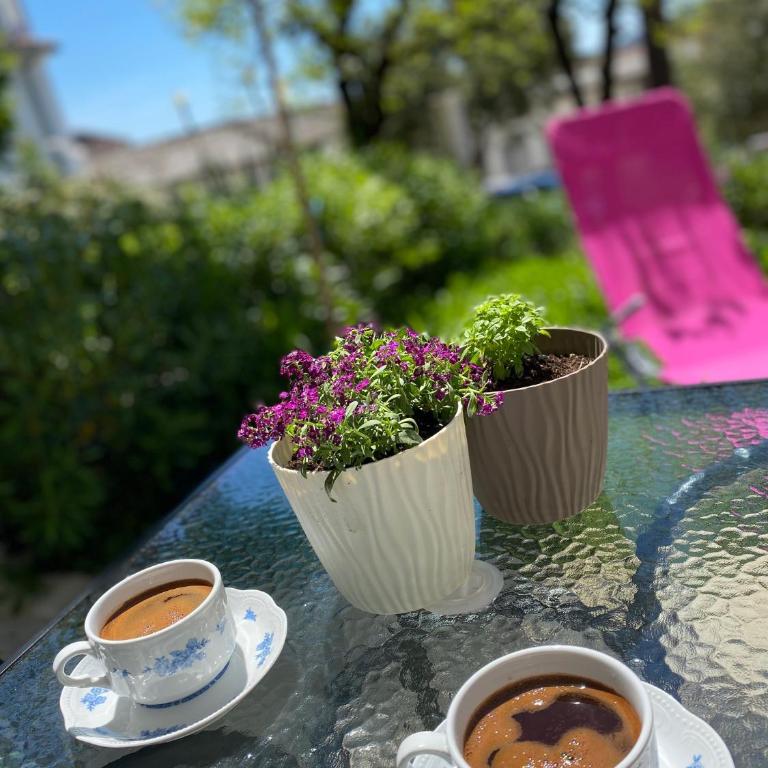 NaPjacu with own parking and garden - One-Bedroom Apartment - 16