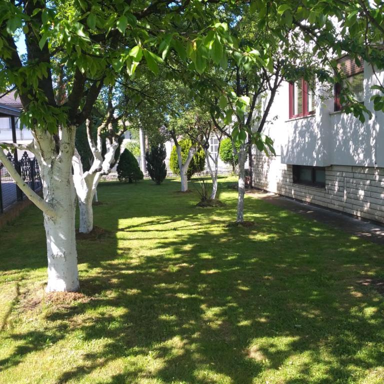Villa Behić - Four-Bedroom House - 22