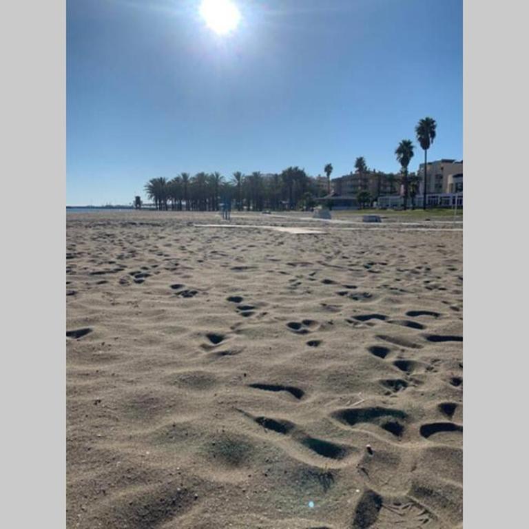 Apartamento LA DORADA - Estudio - 17
