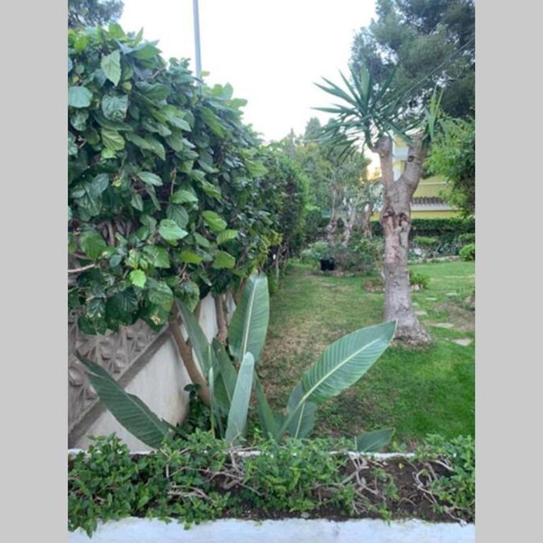 Apartamento LA DORADA - Estudio - 18