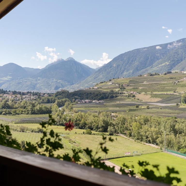 Petaunerhof - Appartamento con Terrazza - 6