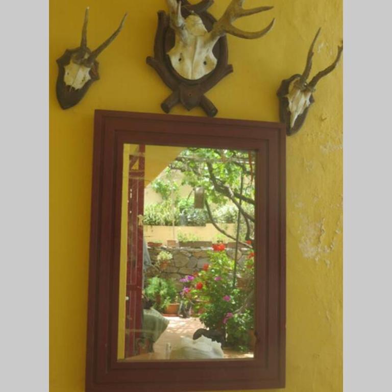 Finca Cortez Apartment 2 - One-Bedroom Apartment - 28