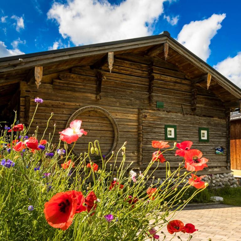 Almhütte Brandgut - Chalet - 28