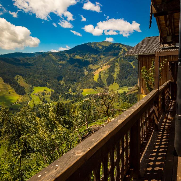 Almhütte Brandgut - Chalet - 18