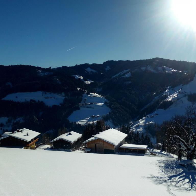 Almhütte Brandgut - Chalet - 55