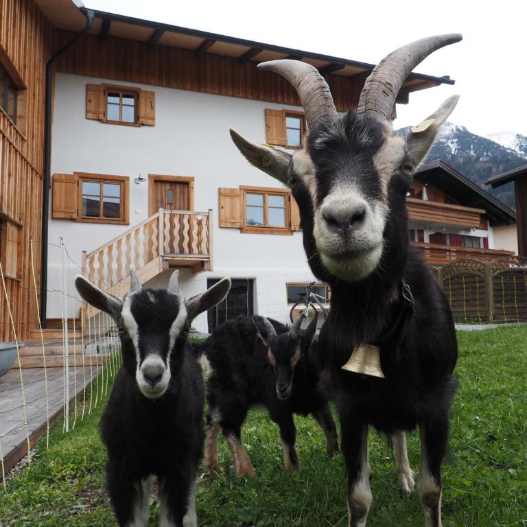 Ferienwohnung Lexar Hüs Oberstdorf - Apartment mit 2 Schlafzimmern - 16