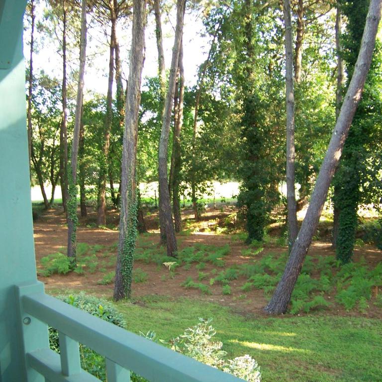 Jolie petite maison à Vieux Boucau avec piscine chauffée - Domaine du Golf de Pinsolle - Maison de Vacances - 11