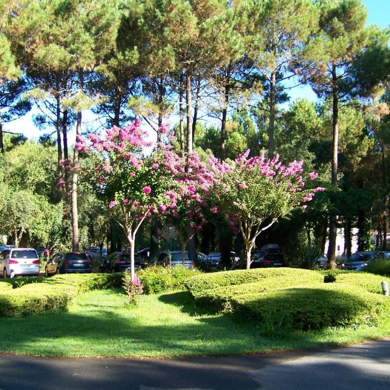 Jolie petite maison à Vieux Boucau avec piscine chauffée - Domaine du Golf de Pinsolle - Maison de Vacances - 15