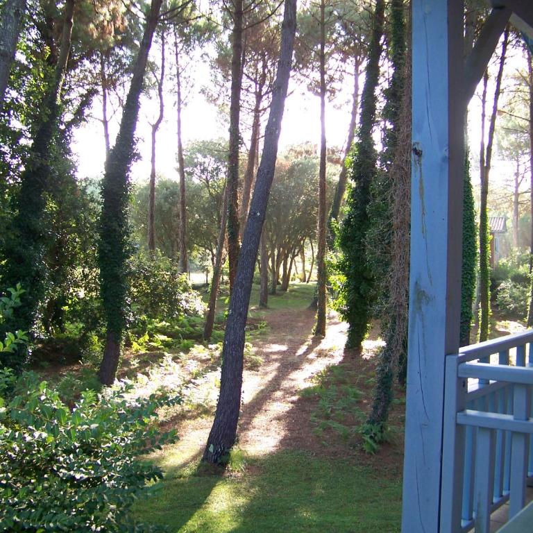 Jolie petite maison à Vieux Boucau avec piscine chauffée - Domaine du Golf de Pinsolle - Maison de Vacances - 10