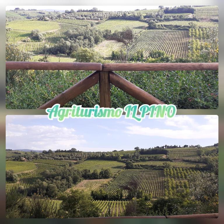 AGRITURISMO IL PINO - APPARTAMENTO CIPRESSO - Appartamento con 2 Camere da Letto - 38